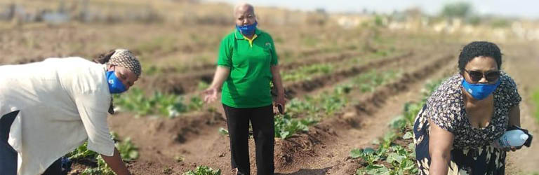 UN Climate Smart Agri Programme